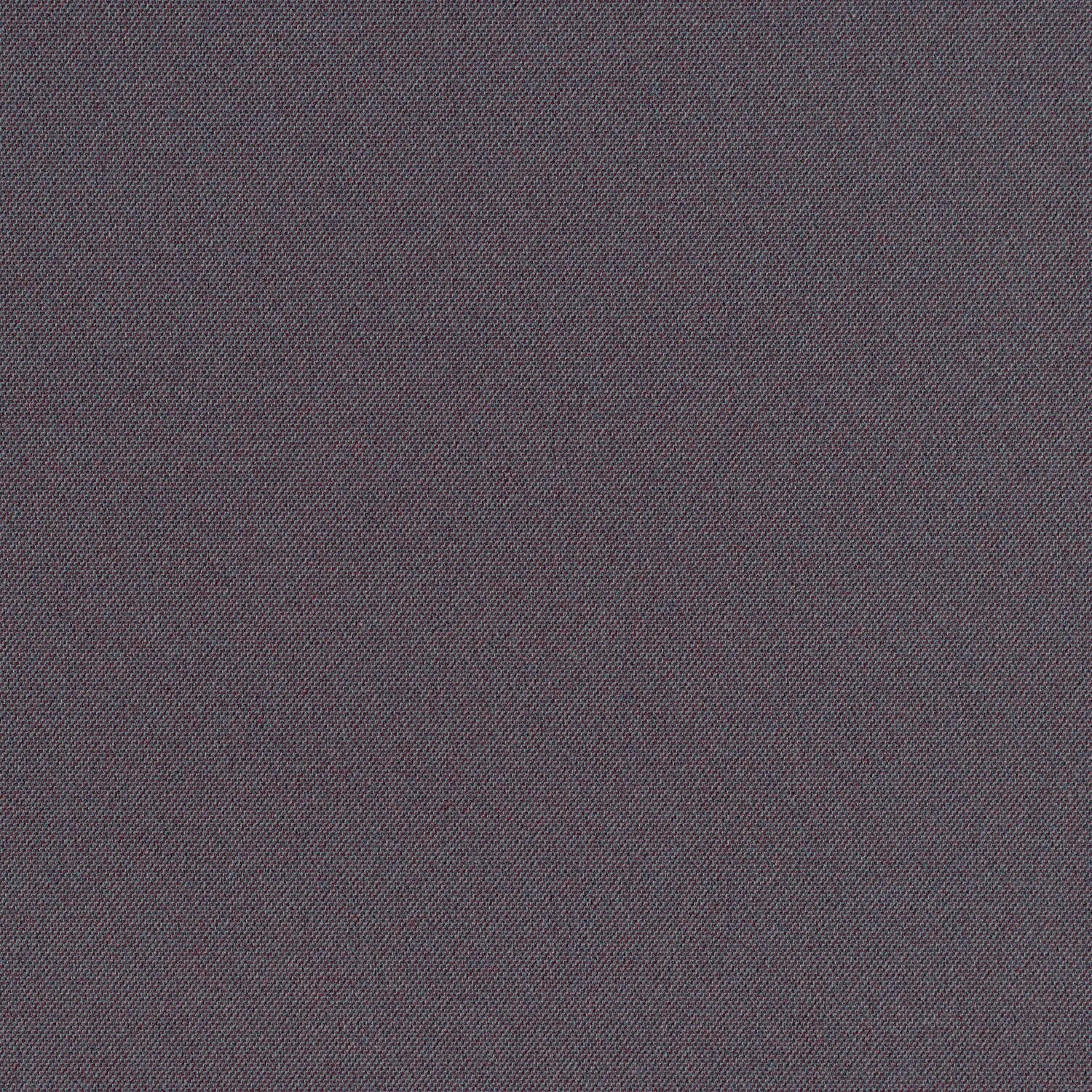 Cult Classic - Purple Noon - 1031 - 08