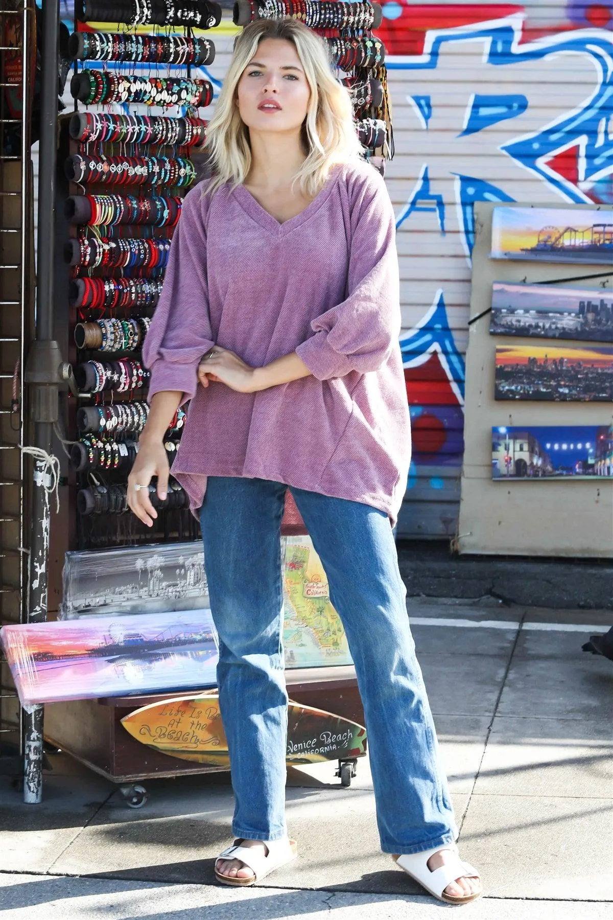 Mauve Velvet Textured V-Neck Balloon Sleeve Top /1-1-1