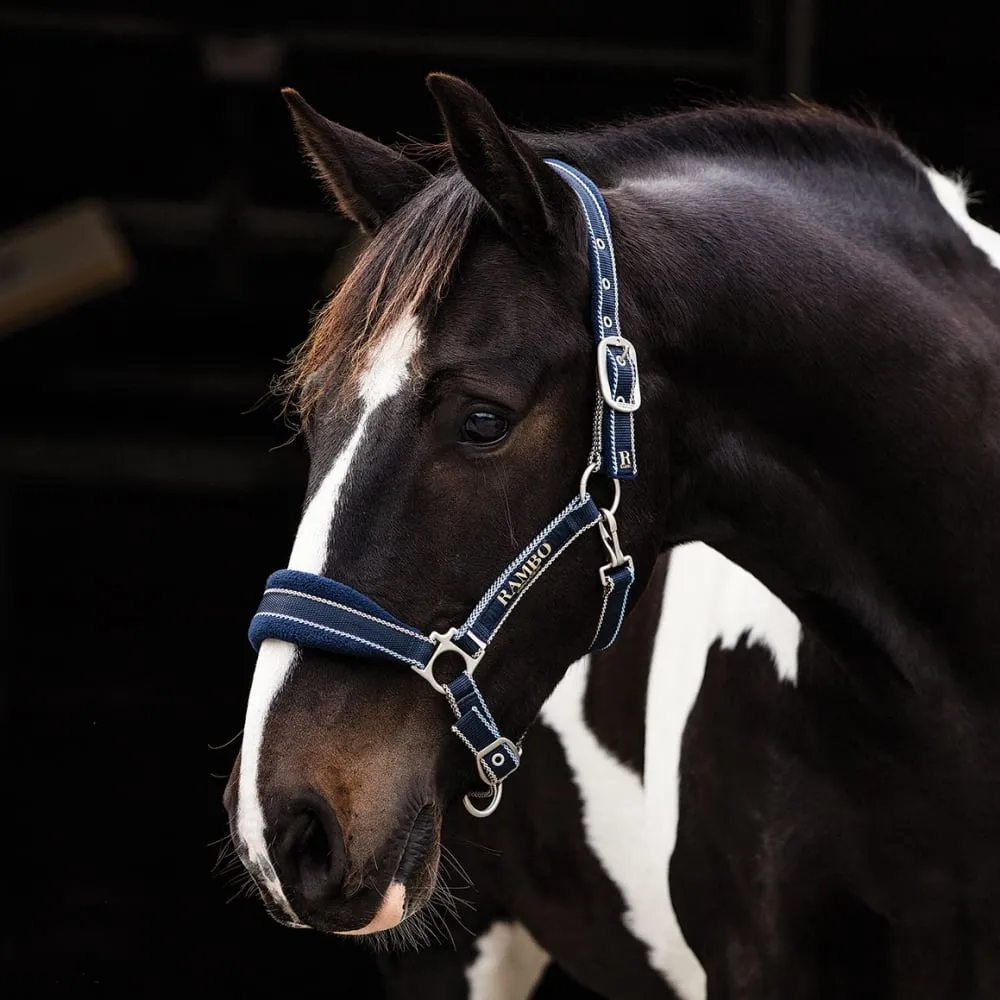 Rambo Padded Headcollar