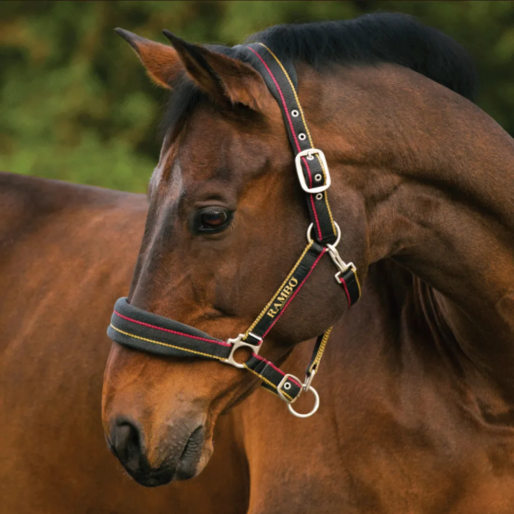 Rambo Padded Headcollar