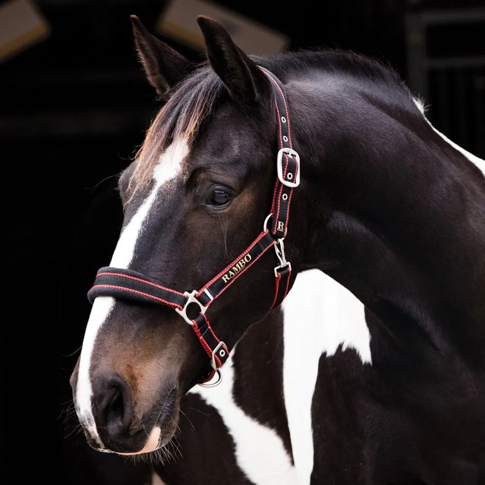 Rambo Padded Headcollar