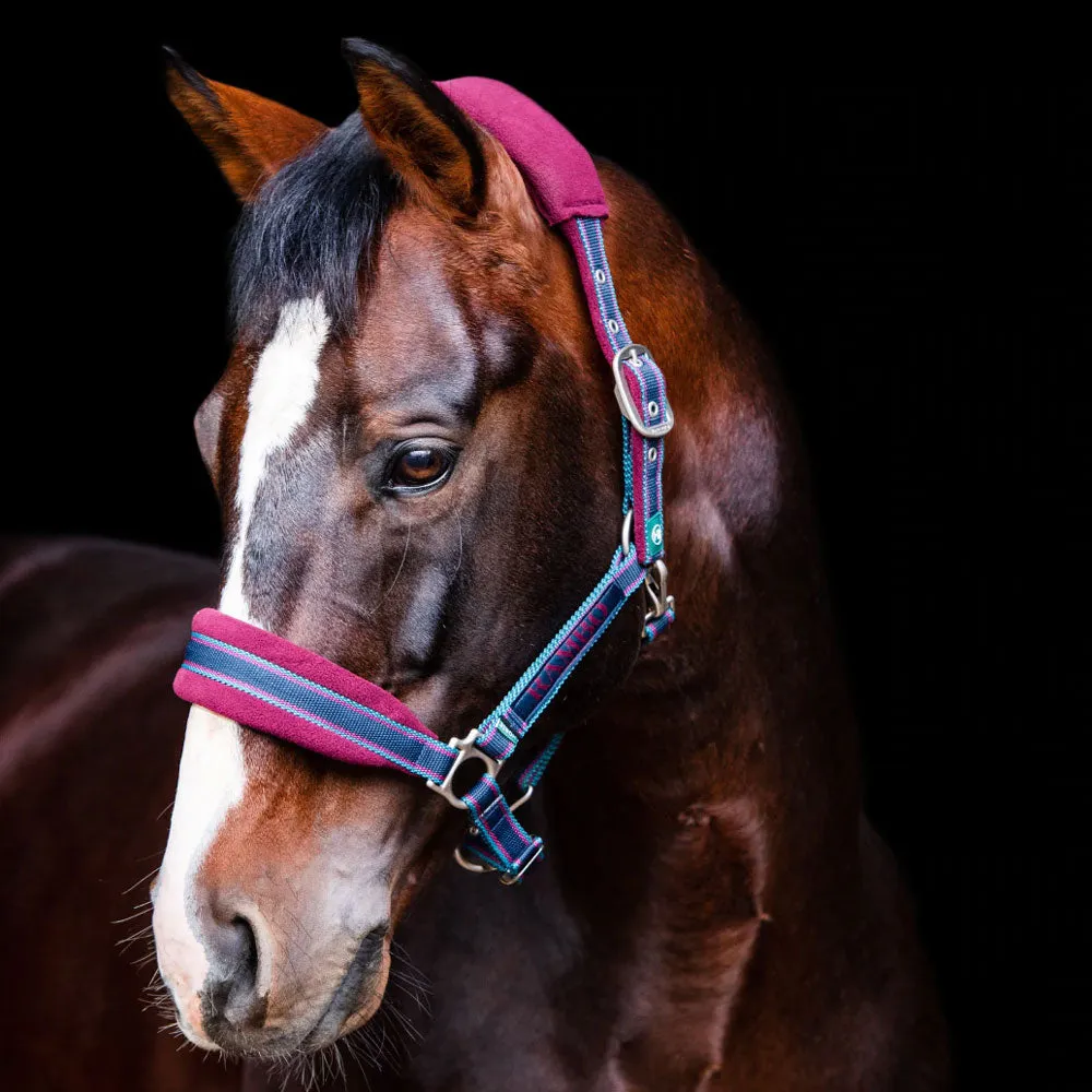 Rambo Padded Headcollar